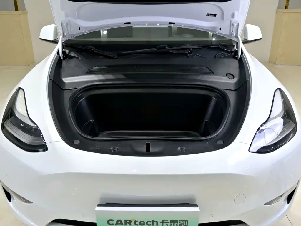 Tesla Model Y — миниатюра 10