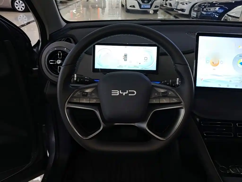 BYD Sealion 05 DM-i — миниатюра 11