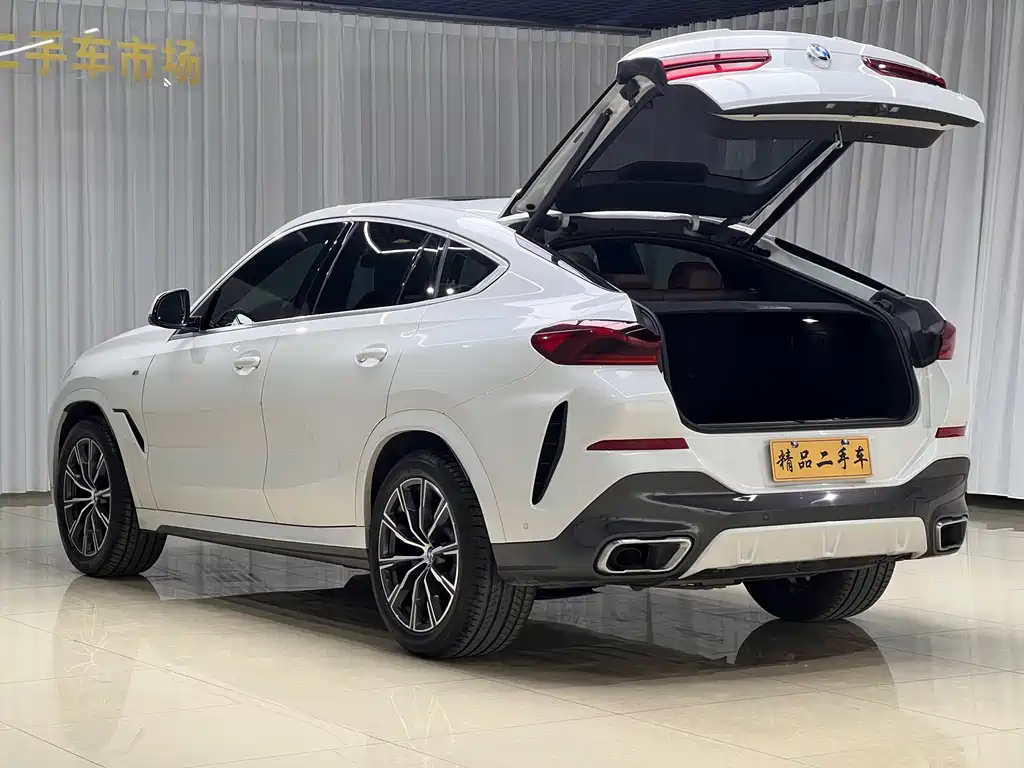 BMW X6 2020 xDrive40i M Sport
