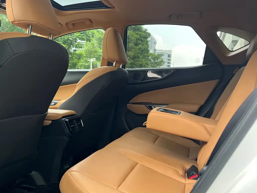 Lexus NX New Energy — миниатюра 13