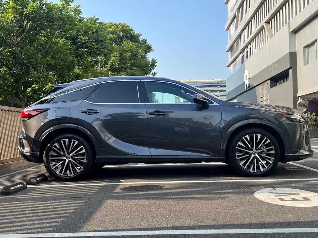 Lexus RX New Energy — миниатюра 12