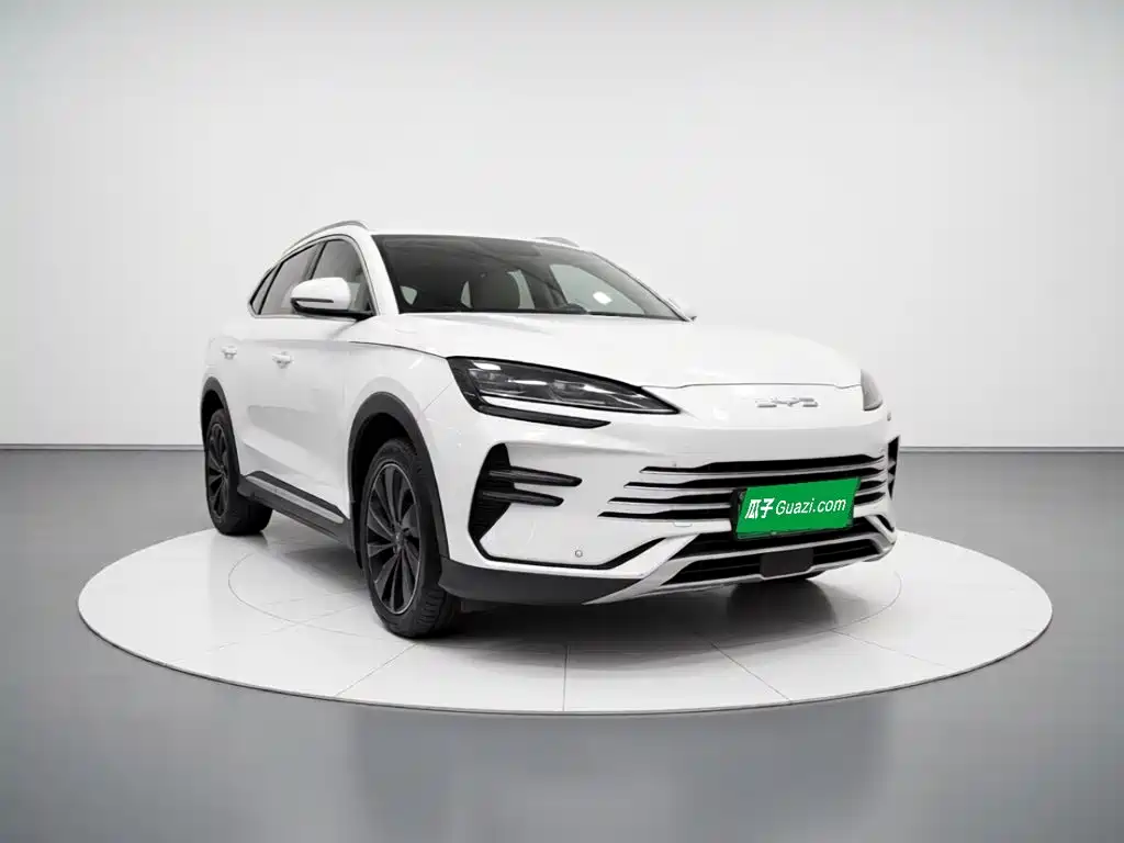 BYD PLUS New Energy — миниатюра 3
