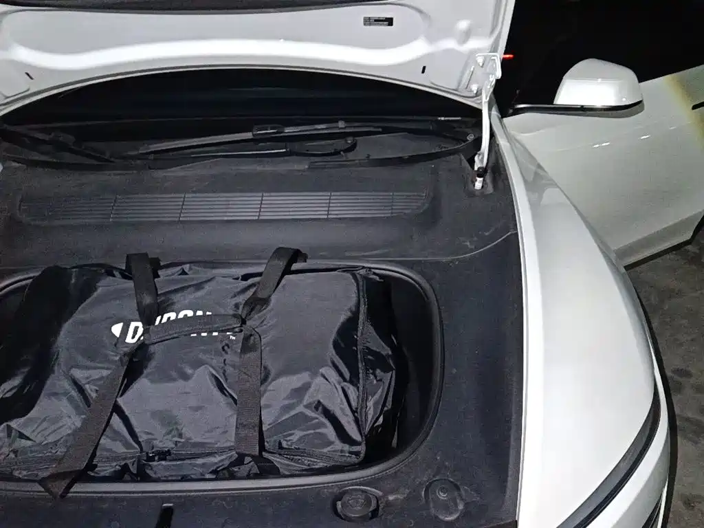 Tesla Model Y — миниатюра 20