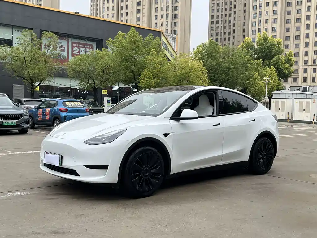 Tesla Model Y — миниатюра 2