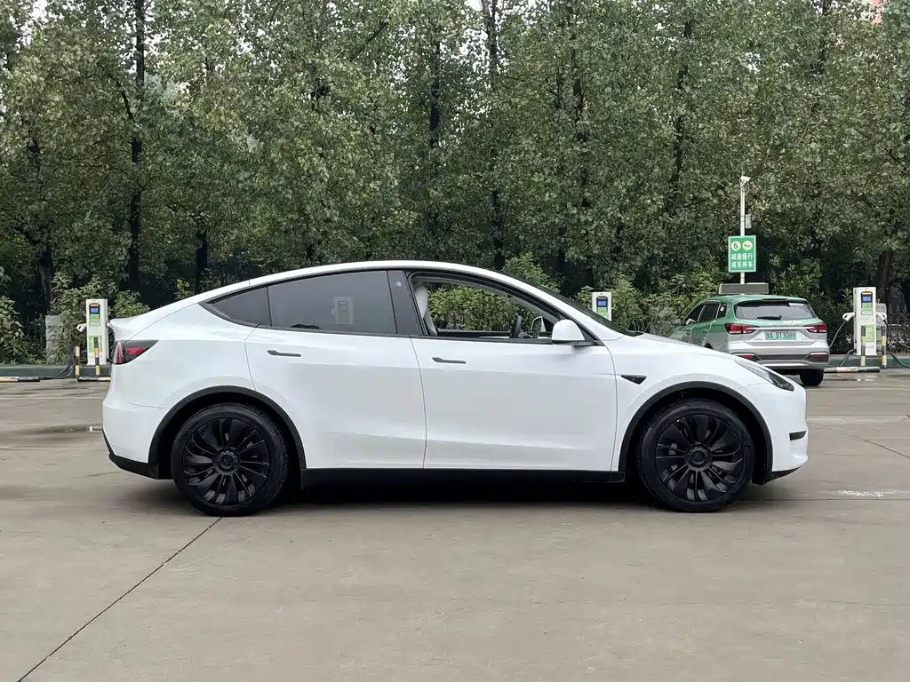Tesla Model Y — миниатюра 8