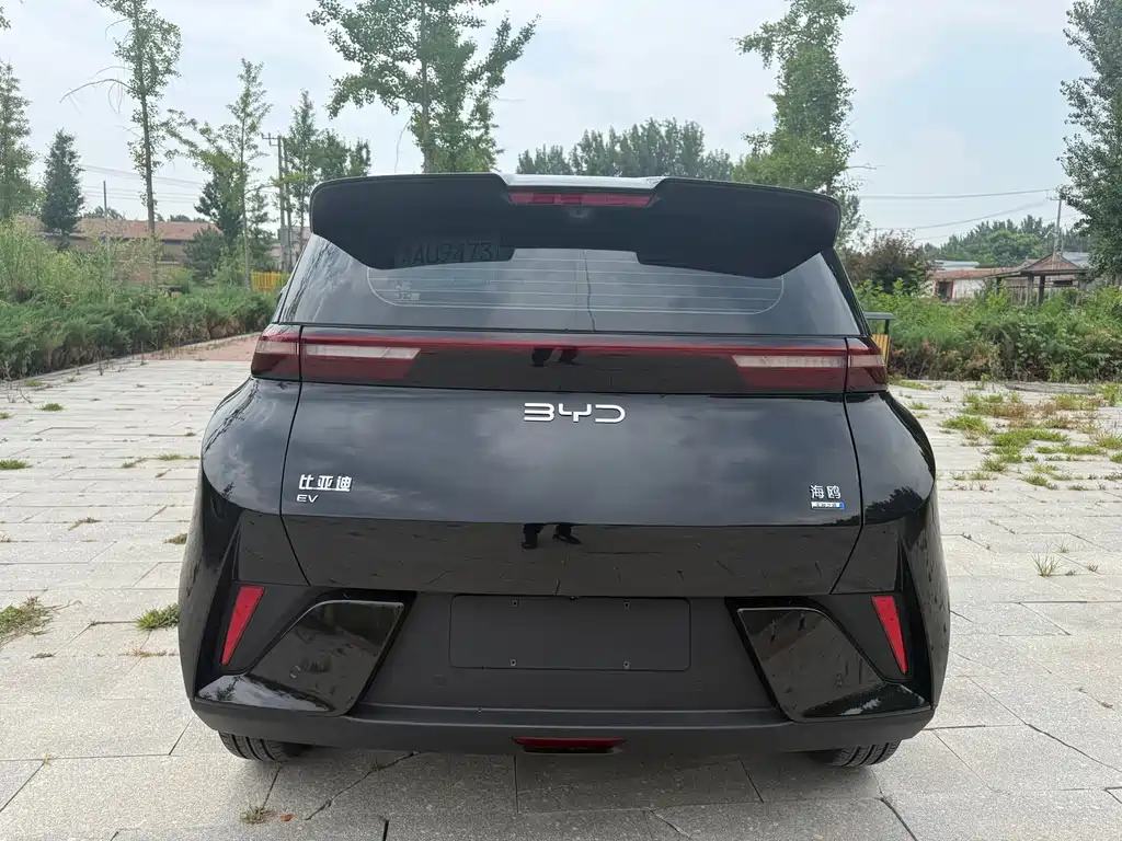 BYD Seagull 2025 Smart Drive 305km Freedom