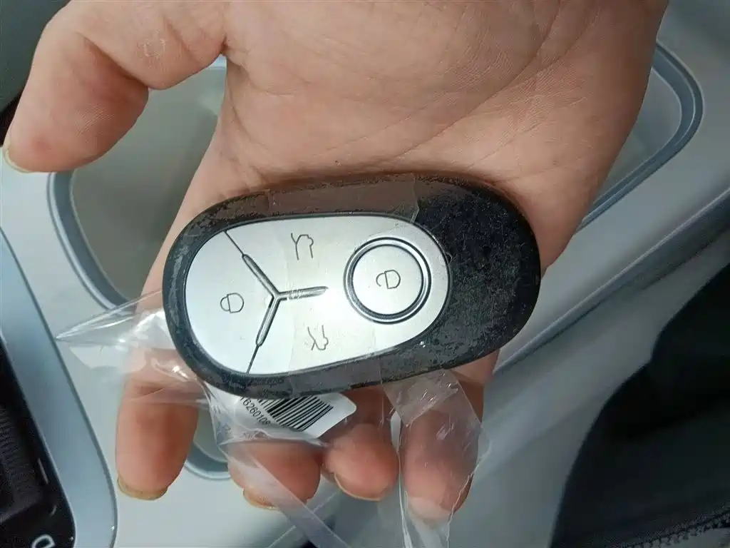 Geely Geome Xingyuan 2026 310km