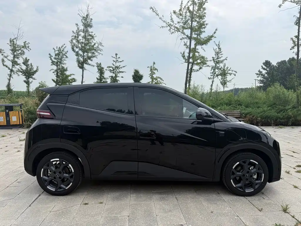 BYD Seagull 2025 Smart Drive 305km Freedom