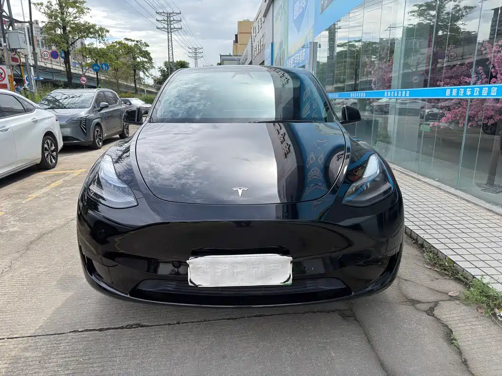 Tesla Model Y — миниатюра 2