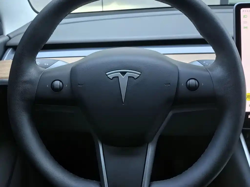 Tesla Model Y — миниатюра 7