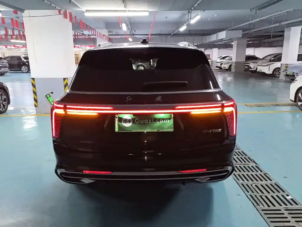 Hongqi Hongqi E-HS9 — миниатюра 6