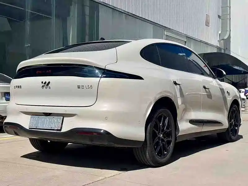 IM IM LS6 — миниатюра 9