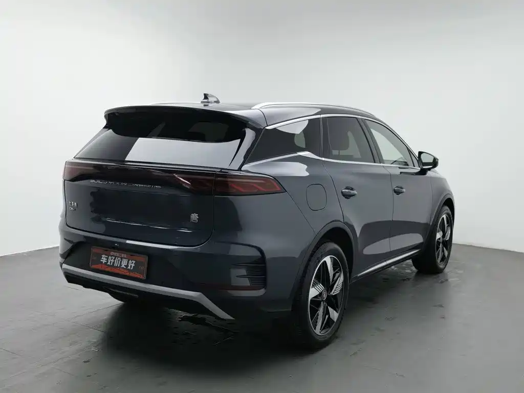 BYD Tang New Energy — миниатюра 2