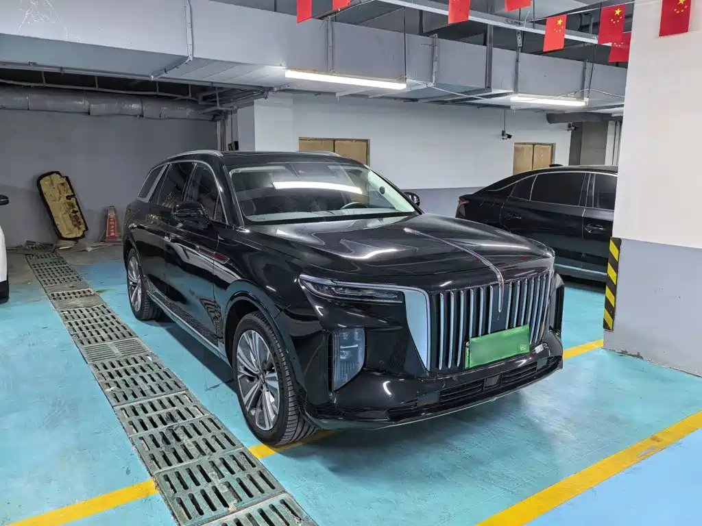 Hongqi Hongqi E-HS9 — миниатюра 4