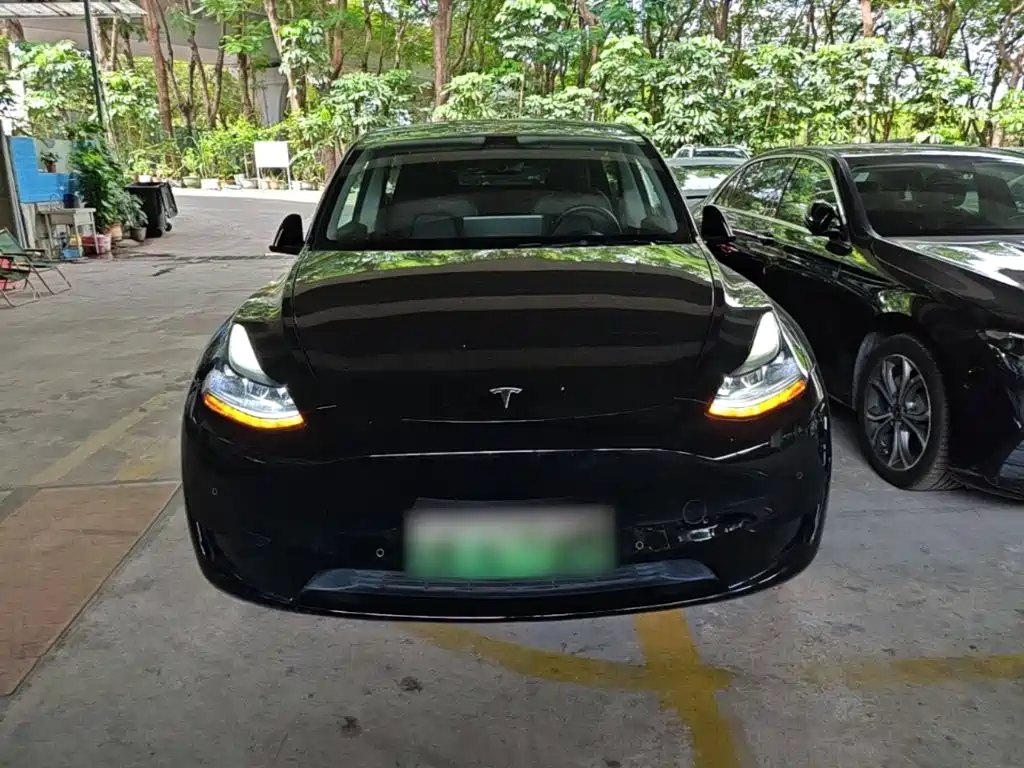 Tesla Model Y — миниатюра 3