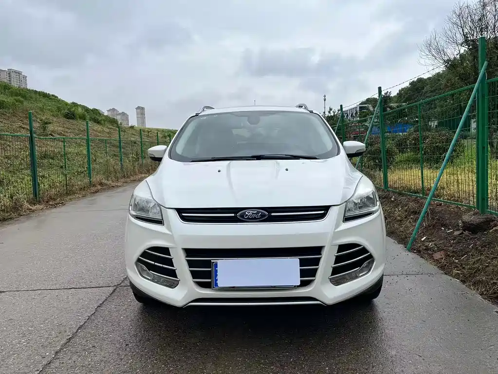 Ford Kuga 2.0L GTDi 4WD Elite Type, фото 2