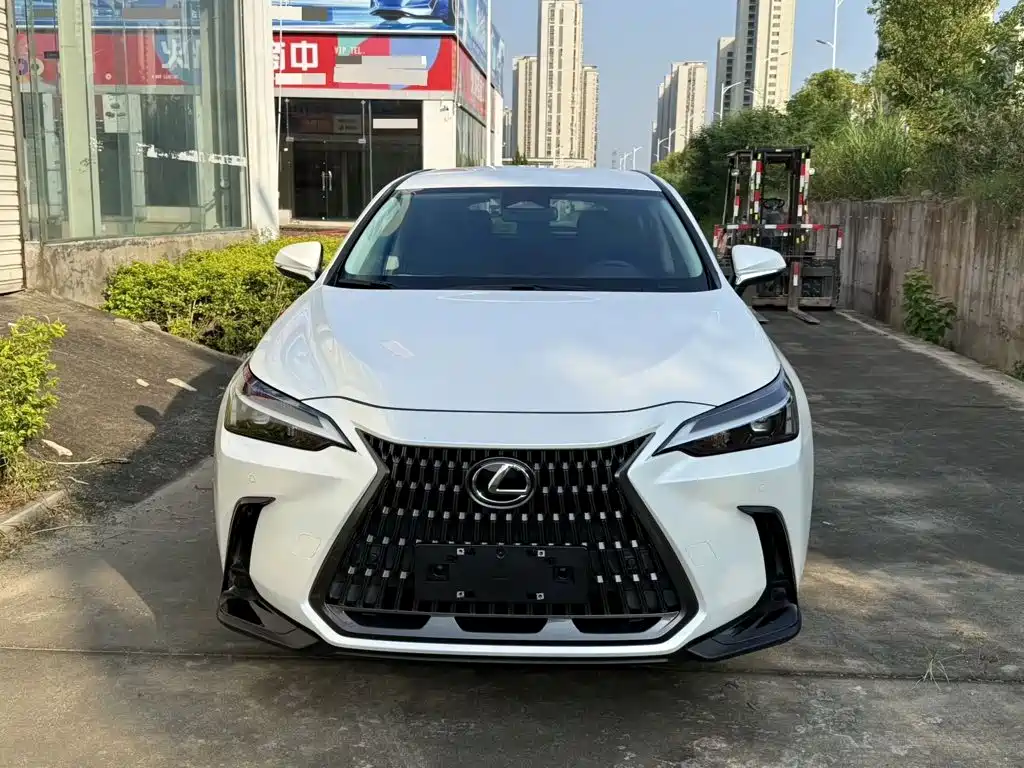 Lexus NX — миниатюра 2
