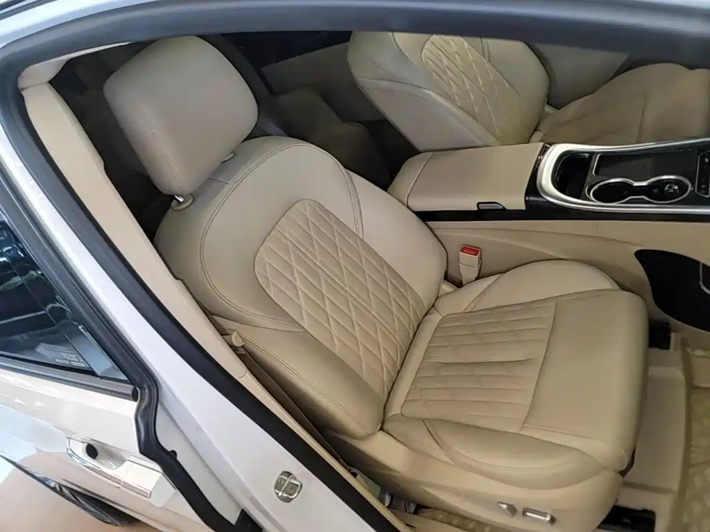 Buick GL8 — миниатюра 25