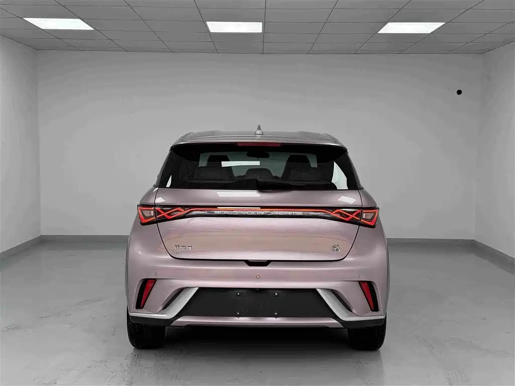 BYD Dolphin — миниатюра 20