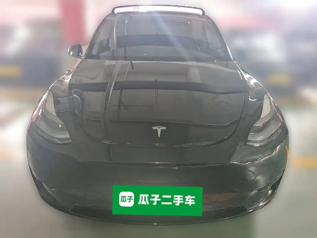 Tesla Model Y — миниатюра 23