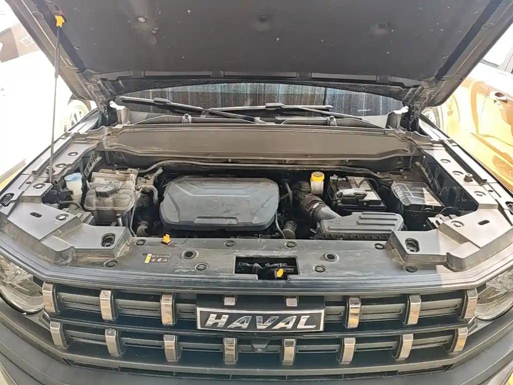 Haval Cool Dog — миниатюра 16