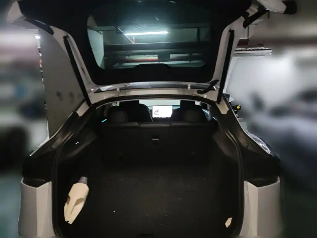 Tesla Model Y — миниатюра 10
