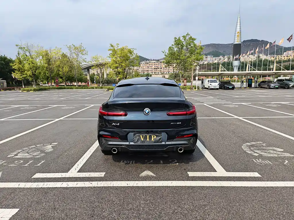 BMW X4 — миниатюра 8