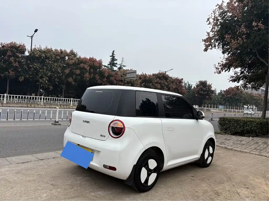 Qiyuan Lumin — миниатюра 4