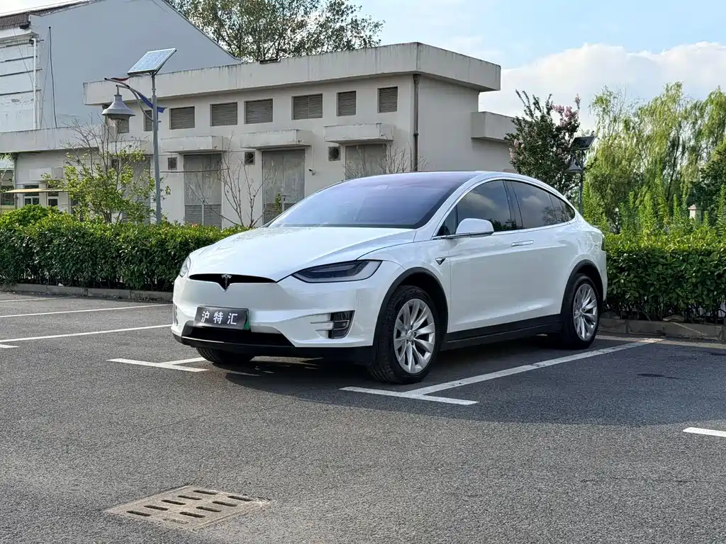 Tesla Model X — миниатюра 3