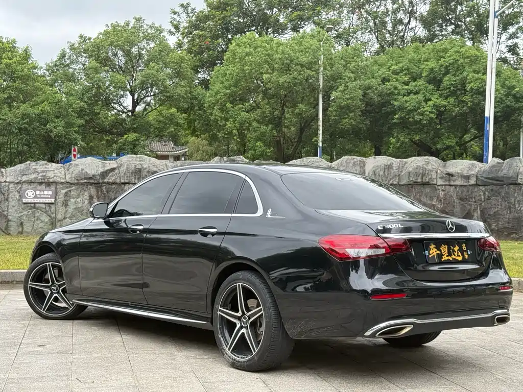 Mercedes-Benz E-Class E 300 L Sport Luxury Type, фото 4