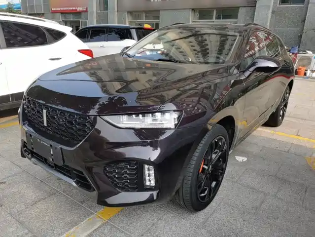 2019 Wey VV7