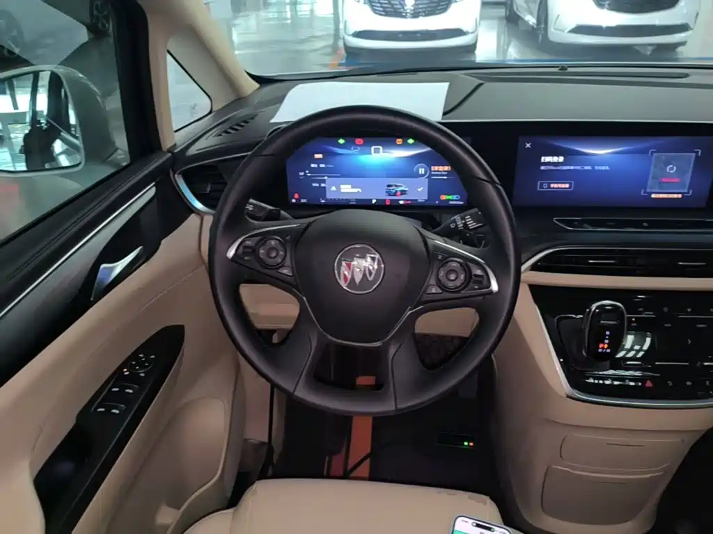 Buick GL8 — миниатюра 11