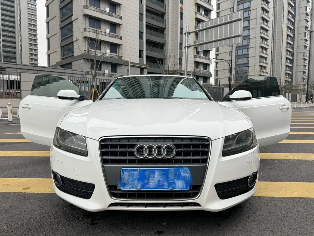 Audi A5 (Import) 2010