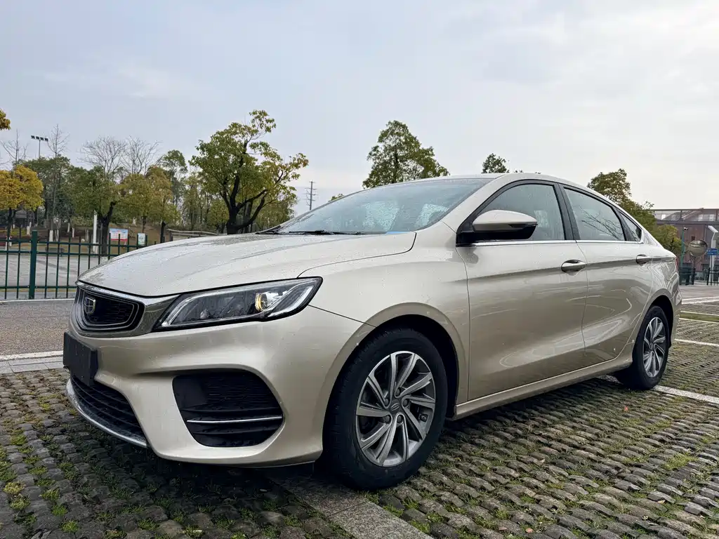 Geely Binrui 2019