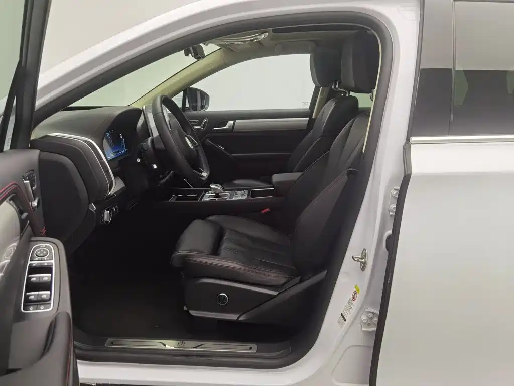 BYD Tang New Energy — миниатюра 10