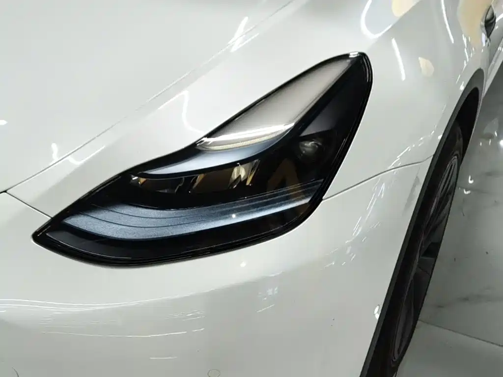 Tesla Model Y — миниатюра 24