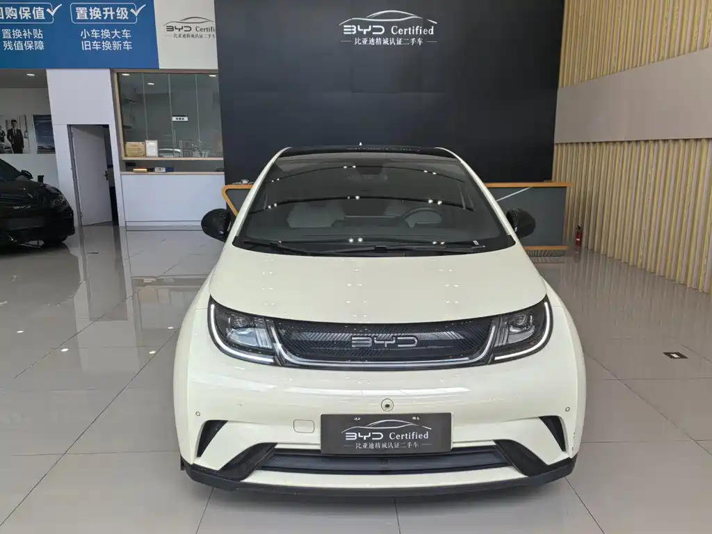 BYD Dolphin — миниатюра 2