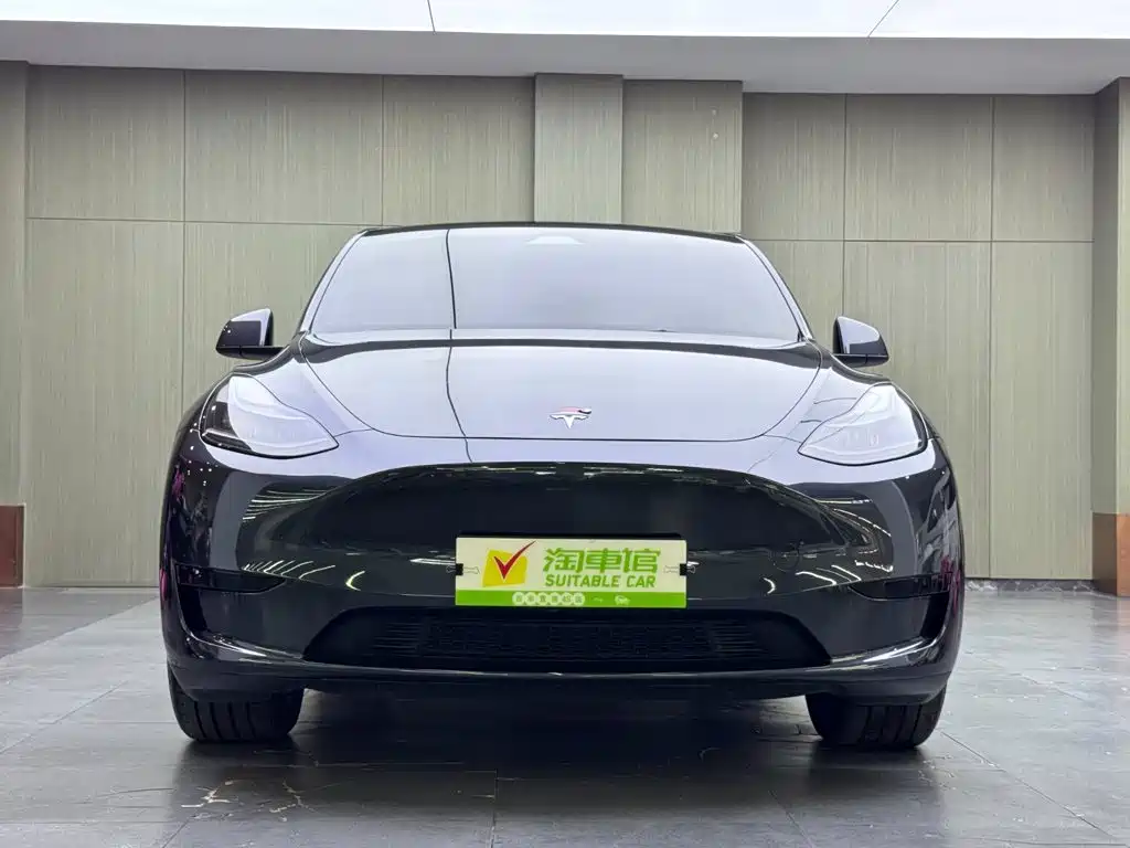 Tesla Model Y — миниатюра 2