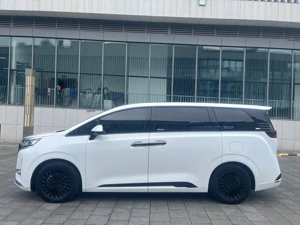 Denza Denza D9 — миниатюра 2