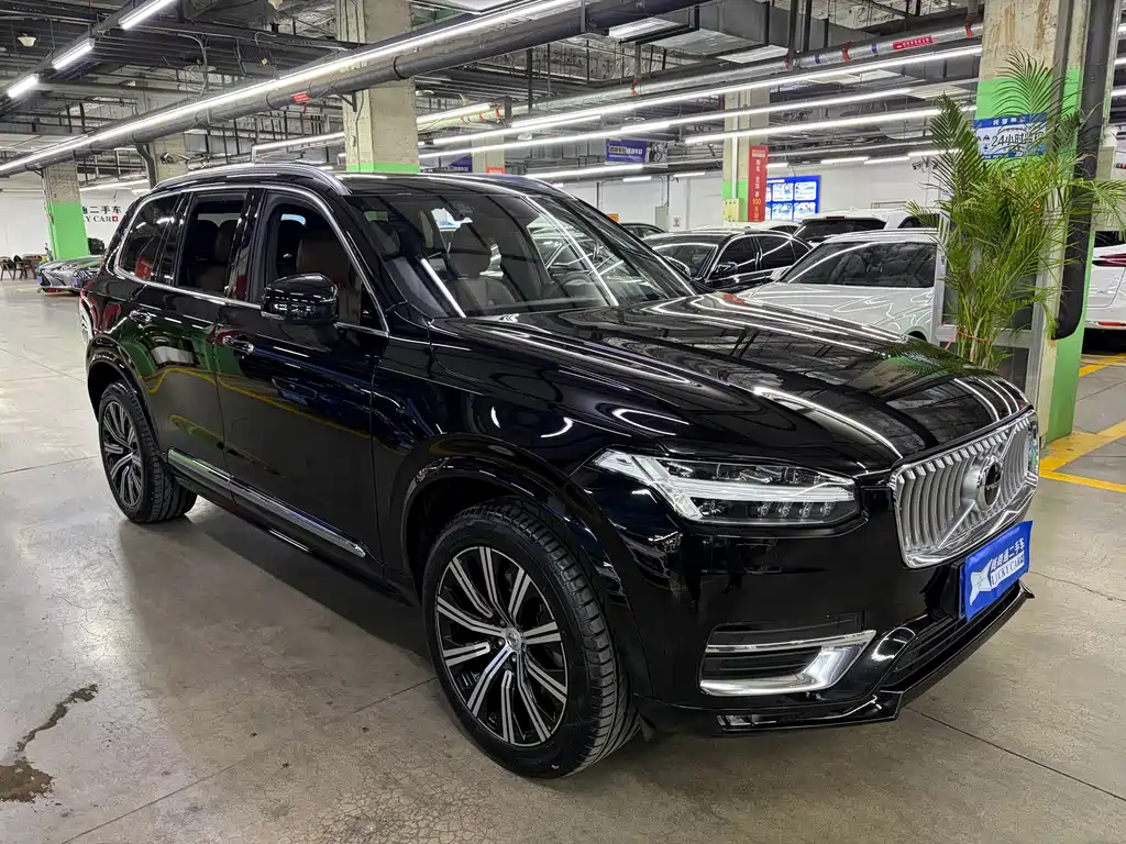 Volvo XC90 — миниатюра 3