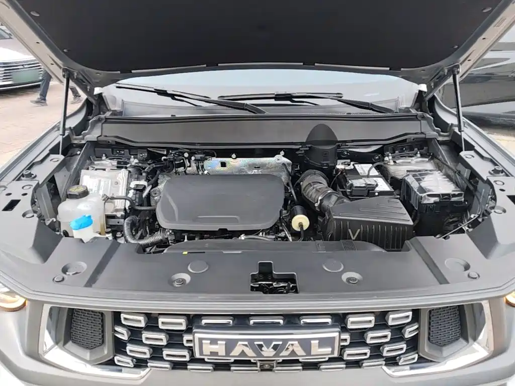 Haval Big Dog PLUS — миниатюра 20
