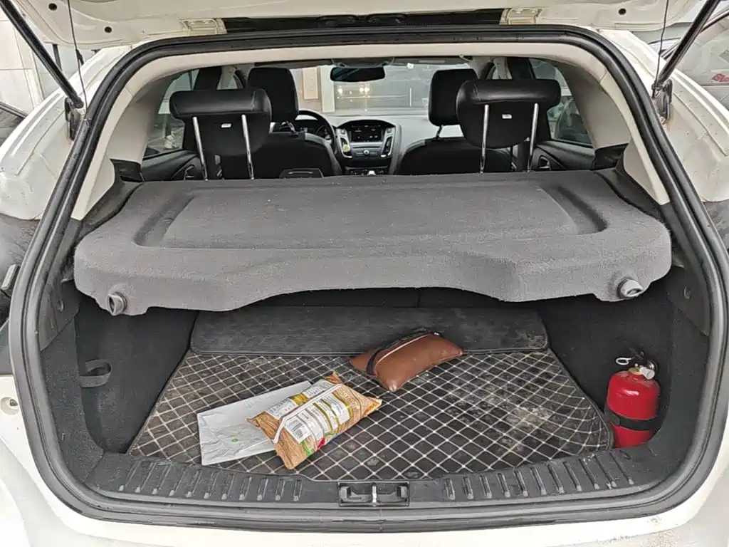 Ford Focus — миниатюра 19