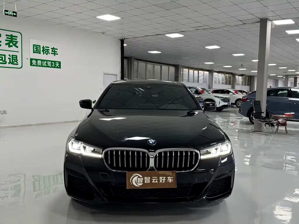 BMW 5 Series — миниатюра 2