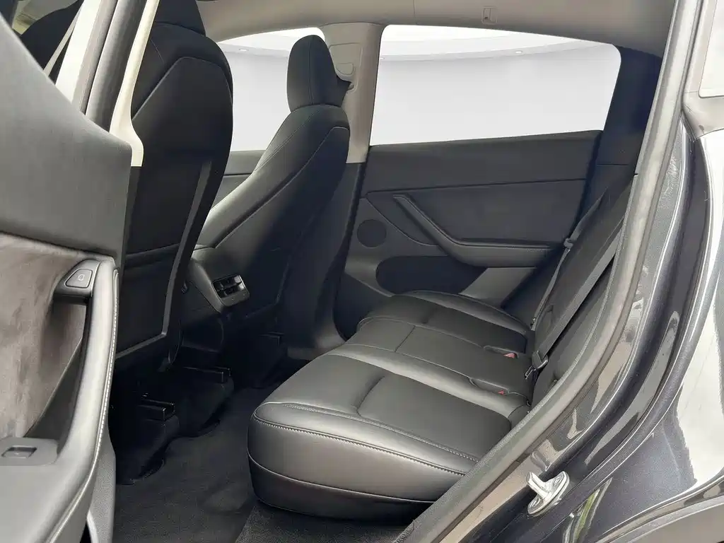Tesla Model Y — миниатюра 4