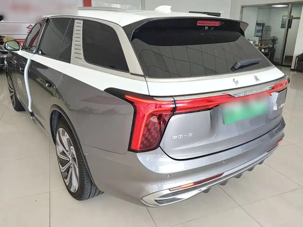 Hongqi Hongqi E-HS9 — миниатюра 5