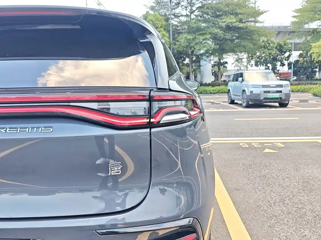 BYD Tang New Energy — миниатюра 16