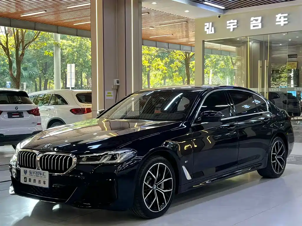 BMW 5 SERIES