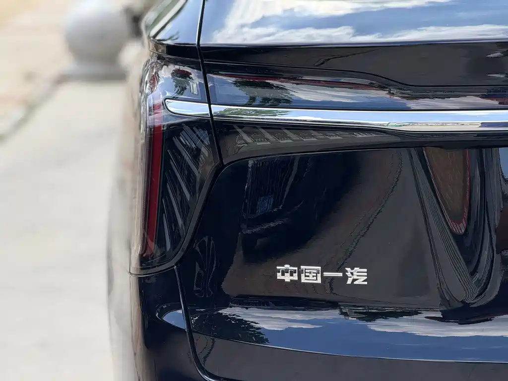 Hongqi Hongqi HS7 PHEV — миниатюра 12