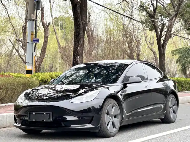 TESLA MODEL 3 2021