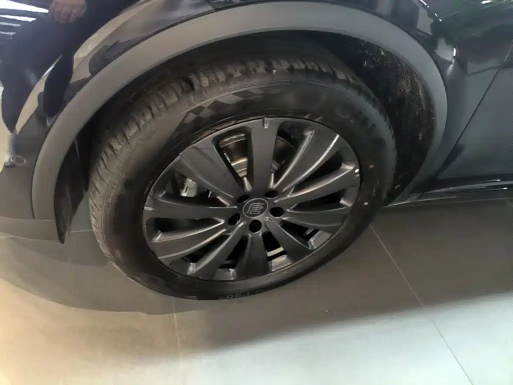 BYD Tang New Energy — миниатюра 25